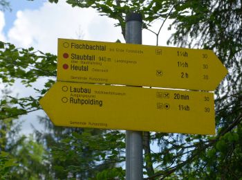 Randonnée A pied Ruhpolding - Wanderweg 30 (Laubau - Staubfall) - Photo
