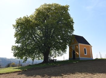 Randonnée A pied Feldbach - Himmel Erden Weg - Photo