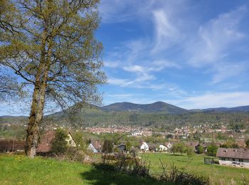Randonnée Marche Muhlbach-sur-Bruche - Les chaumes de Grendelbruch - Photo
