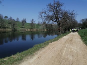 Tocht Stappen Saint-Galmier - barrage St galmier - Photo