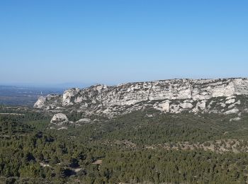 Excursión Senderismo Aureille - Vigie d'Aureille - Photo