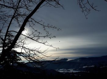 Randonnée Raquettes à neige Lans-en-Vercors - Belvédère des Cimes et Moucherotte en raquettes - Photo