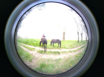 Tocht Paardrijden Savigny-en-Véron - 3749 - Photo