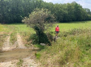 Excursión sport Castelnau-de-Montmiral - Chemin de Gradille avec chapelle  - Photo