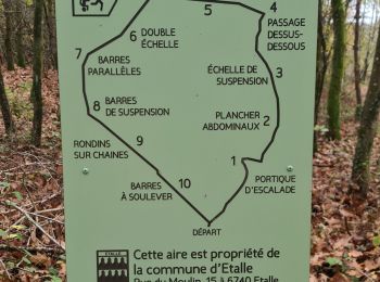 Trail Walking Étalle - Parcours santé Etalle  - Photo