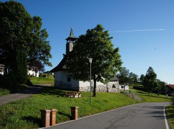 Randonnée A pied Neuschönau - Laubbaum - Photo