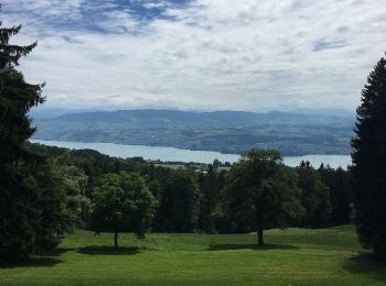 Percorso A piedi Meilen - Meilen - Toggwil - Photo