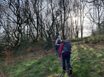 Trail Walking Liège - De gare en gare Angleur-Esneux - Photo