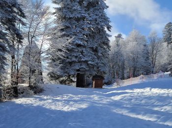 Trail Snowshoes Les Déserts - 111222 Boucle l'oriente Nivollet - Photo