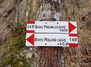 Trail On foot Castel di Casio - IT-167B - Photo