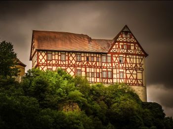 Randonnée A pied Triefenstein - Kulturweg Triefenstein 2 - Photo