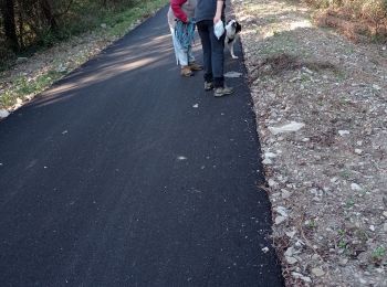 Tocht Stappen Moulès-et-Baucels - baucel  avec passage du pont - Photo