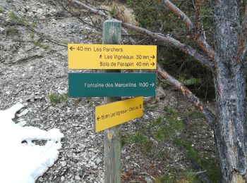 Excursión Senderismo Les Vigneaux - Marc Risoul  - Photo