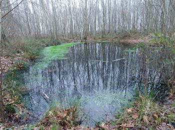 Tocht Stappen Elbeuf - rando Elbeuf-sur-Seine 