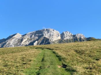 Tocht Stappen Mont-Saxonnex - Col de Cenise et plateau de Solaison - Photo