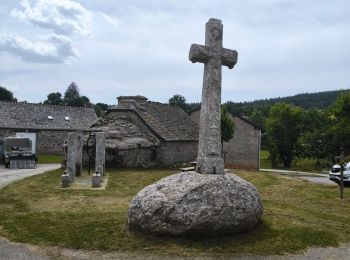 Trail Walking Saint-Paul-le-Froid - les combes de St Paul le froid  - Photo