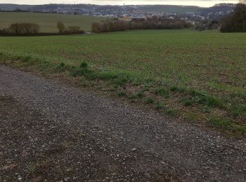 Tour Zu Fuß Osterburken - Rundwanderweg Barnholz 2: Bofsheimer-Weg - Photo