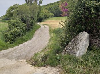 Percorso Marcia Aubres - le Flachet petit Veyronne ferme des Faviers - Photo