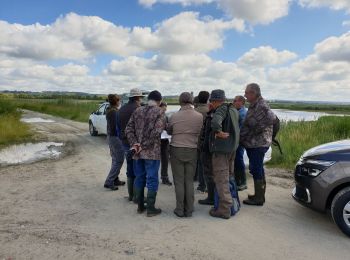 Tocht Stappen Sandouville - reserve naturelle 2 - Photo