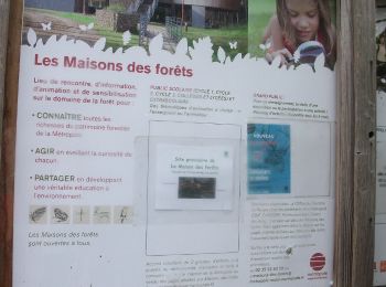 Tour Wandern Saint-Étienne-du-Rouvray - 20221115-La Maison des Forets - Photo
