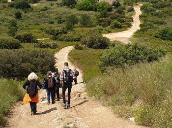 Trail Walking Marseille - la bararelle - Photo