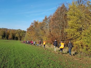 Trail Walking Bouresches - Bouresches du 22/11/2019 - Photo