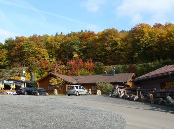 Excursión A pie Bockenau - DVV Durch die Bockenauer Schweiz - Photo