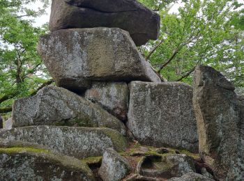 Trail Walking Wintzenheim - Reco Rando du CLAS du 18/07/2024. par PBo - Photo