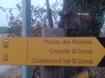 Randonnée Marche Peyruis - PEYRUIS . PLATEAU DES MOLIERES . CHAPELLE S DONNAT . O L - Photo