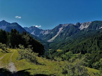 Trail On foot Feistritz im Rosental - Matschacher Gupf-Runde - Photo