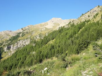 Trail Walking Châteauroux-les-Alpes - Mourre Froid 01/09/18 - Photo