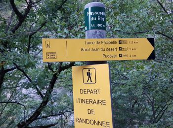 Randonnée Marche La Javie - Digne : Facibelle - Photo