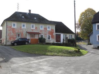 Randonnée A pied Stadtsteinach - Um den Forkel-Knock KU 55 - Photo