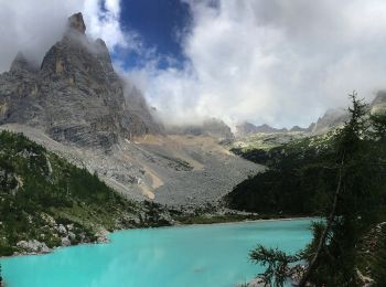 Percorso A piedi Auronzo di Cadore - IT-217 - Photo