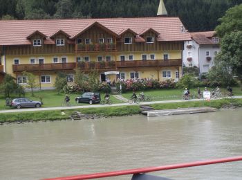 Randonnée A pied Haibach ob der Donau - Es muss sein - Weg - Photo