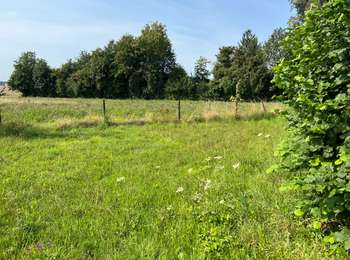 Randonnée Marche Villers-le-Bouillet - MANE Heritage - Vaux-et-Borset - Autour des villages néolithiques - Photo