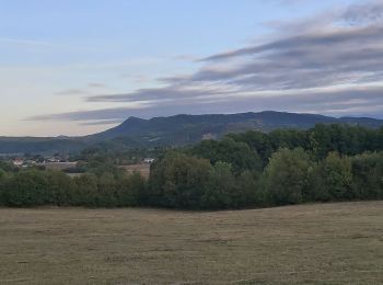 Tour Mountainbike Boussens - en face1 - Photo