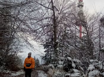 Tour Wandern Épinal - RELAIS TELE DE LA VIERGE - Photo