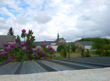 Trail Walking Coteaux-sur-Loire - Saint-Patrice - GRP Coteaux de Bourgueil - 24.7km 300m 5h45 (45mn) - 2023 04 26 - Photo