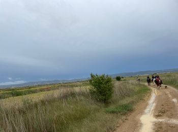 Tocht Paardrijden Sos del Rey Católico - Bardenas jour 3 - Photo