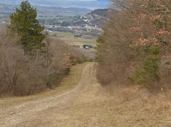Trail Walking Portes-en-Valdaine - Le Chatelard - Photo