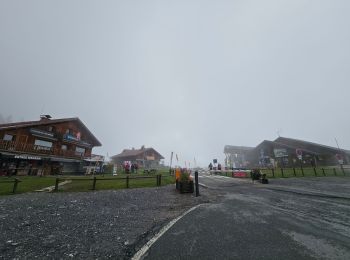 Randonnée Marche Passy - J10 - R8 - Plaine Joux - Les Ayères - Lac Vert  - Photo