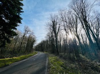 Excursión Bici de carretera Équevillon - Sortie Mariani's mars 2023 - Photo
