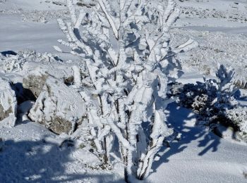 Trail Snowshoes Bouvante - 20240120fonturle - Photo