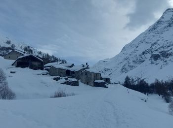 Tour Schneeschuhwandern Bessans - Vincendiere - Photo