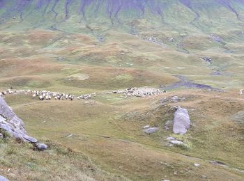 Tour Wandern Sixt-Fer-à-Cheval - Le tour des Fiz : J3 - Photo