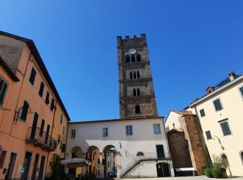 Tour Wandern Lucca - CR_Francigena_CL_35_Lucques_Altopascio_20220619 - Photo