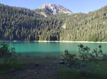 Trail Walking  - lac Noir - Photo