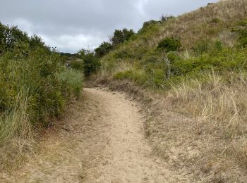 Randonnée Marche Condette - Dunes d’Ecault depuis le château d’Hardelot - Photo