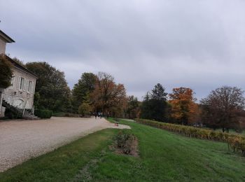 Tour Wandern Plainoiseau - etoile jura - Photo